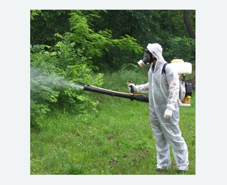 обработка территории от клещей в Хорошевском районе Москвы