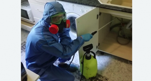 Уничтожение муравьев в квартире. Хорошёвский район