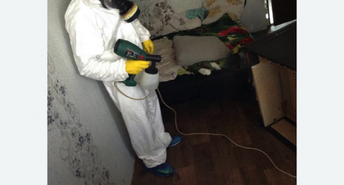 Обработка квартир от насекомых в Хорошевском районе Москвы