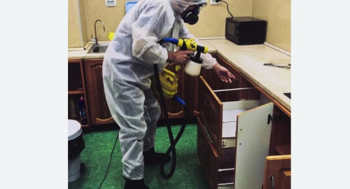 Дезинсекция квартиры. Хорошёвский район