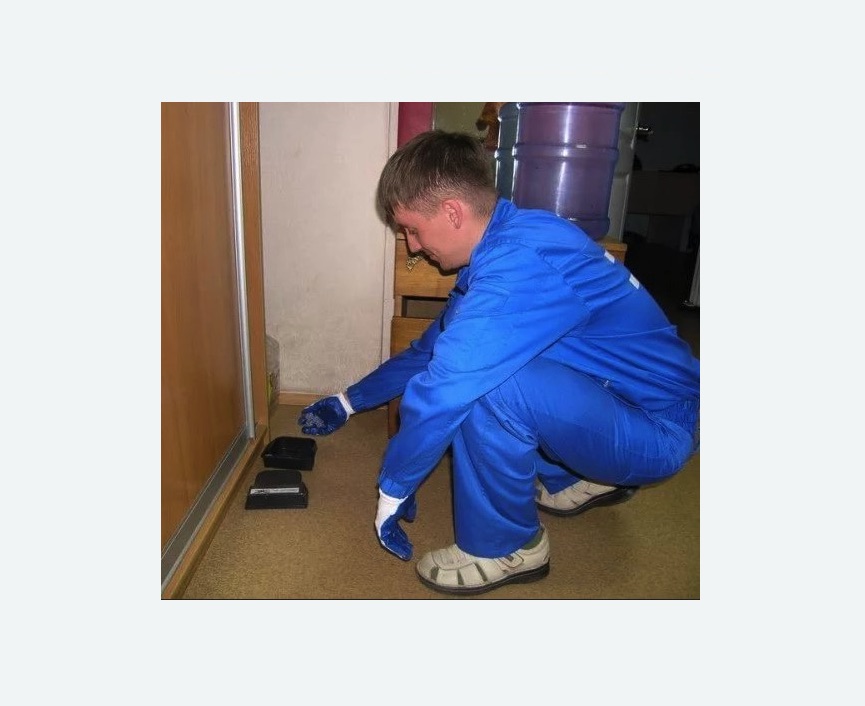 Дератизация крыс в Хорошевском районе Москвы