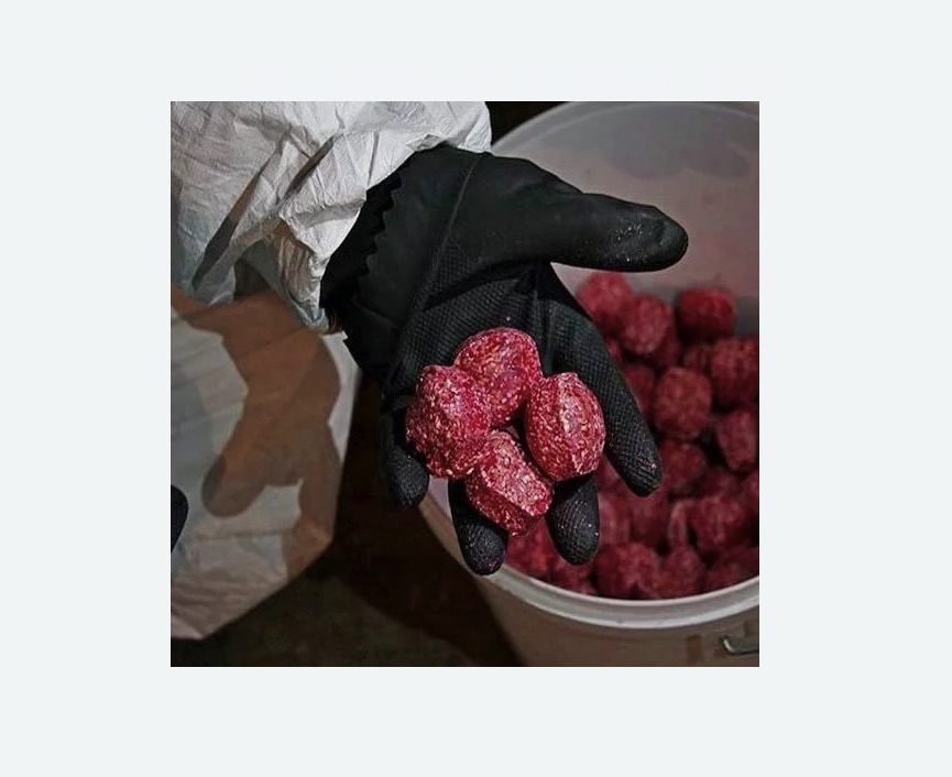 Обработка от крыс в Хорошевском районе Москвы