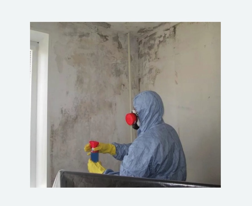 Удаление плесени в квартире в Хорошевском районе Москвы