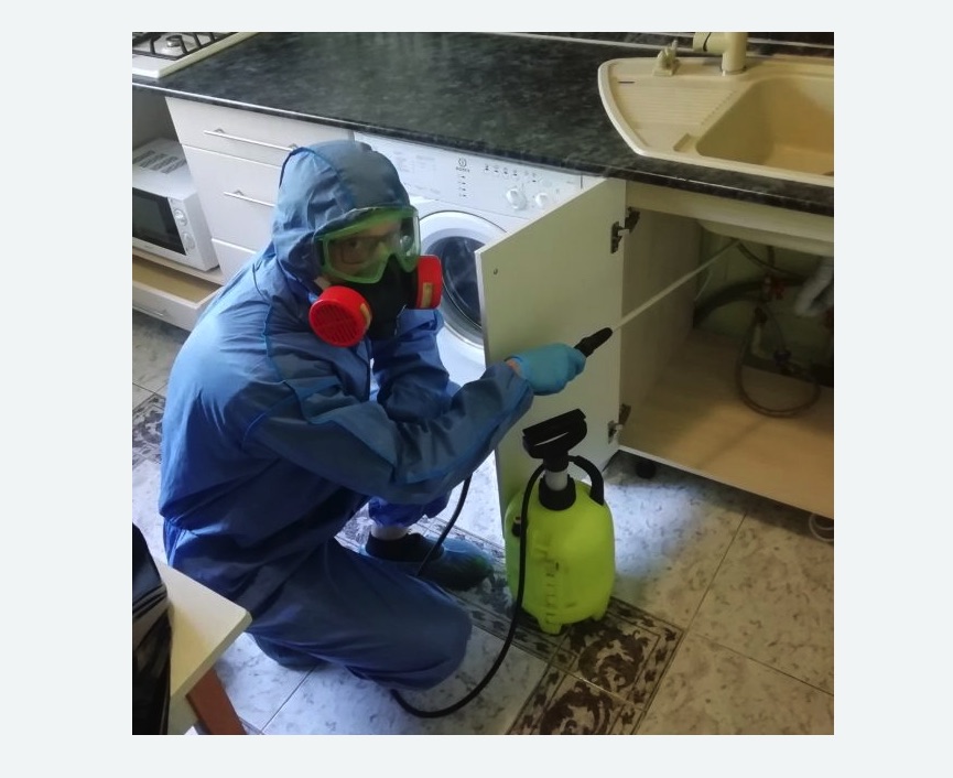 обработка от муравьев в квартире в Хорошевском районе Москвы