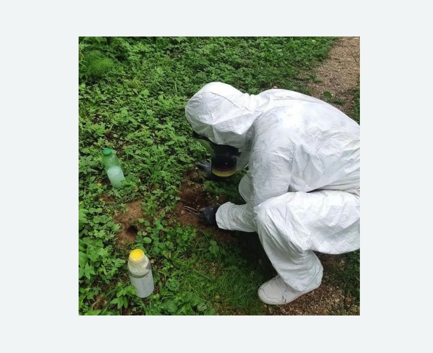 уничтожение кротов на участке уничтожение кротов на участке в Хорошевском районе Москвы