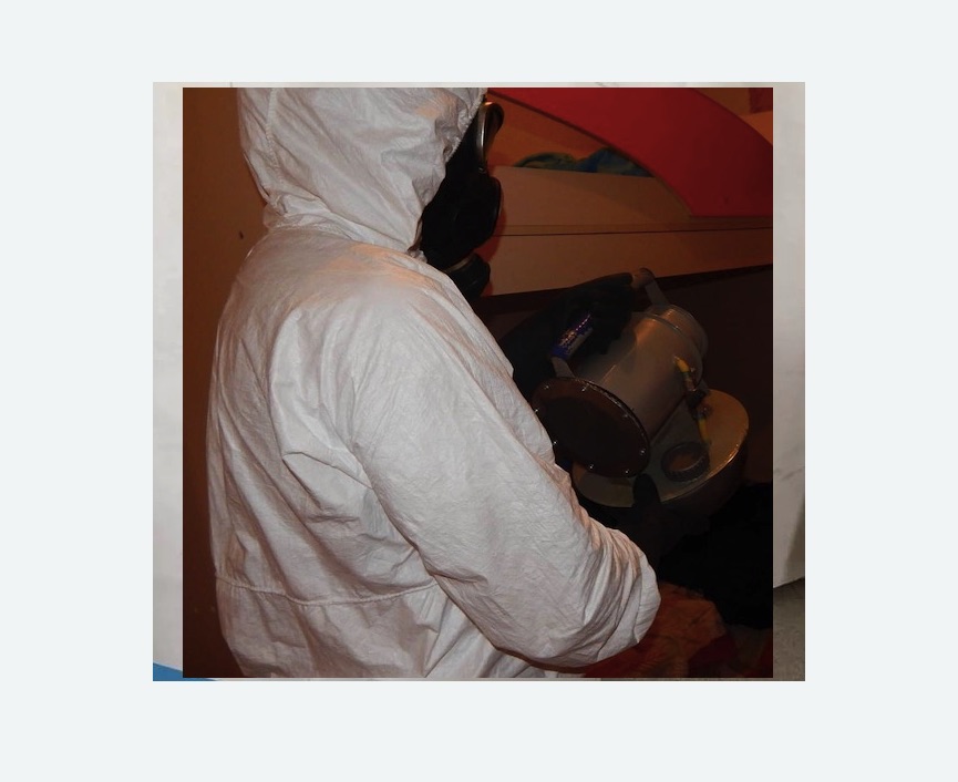 Дезинфекция от муравьев в Хорошевском районе Москвы